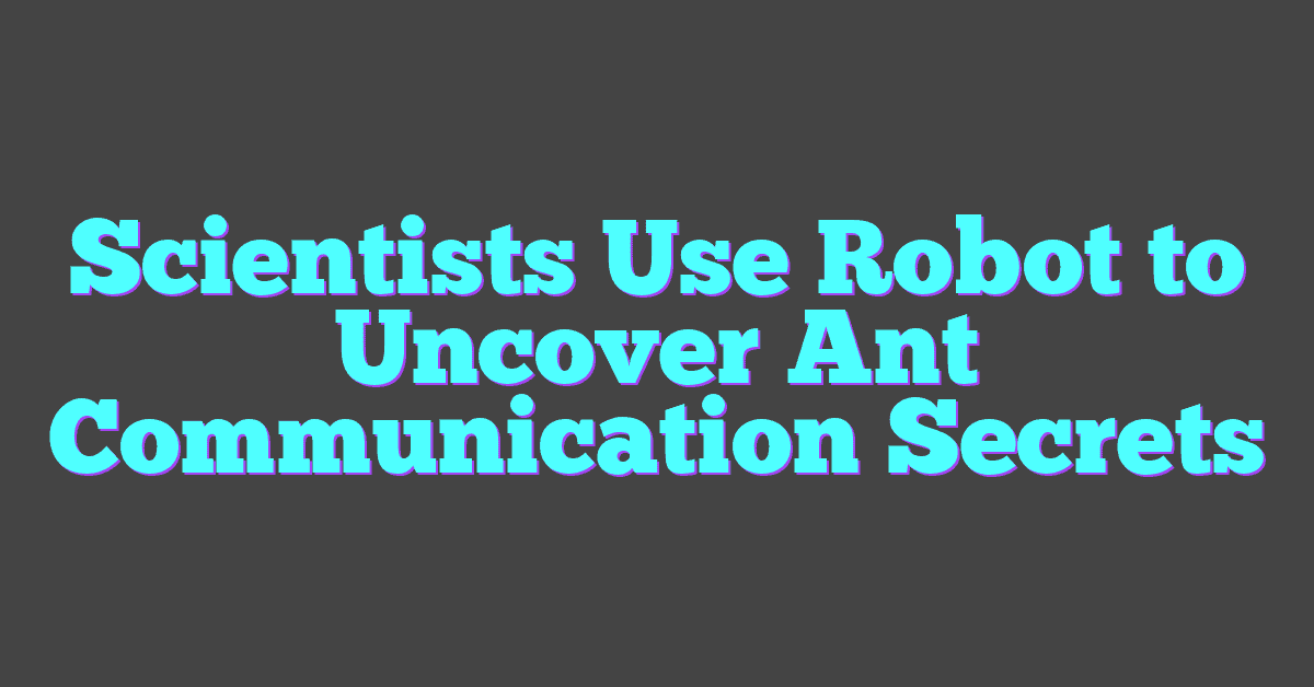 Scientists Use Robot to Uncover Ant Communication Secrets